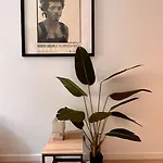 Appartement Le Romy Toulouse