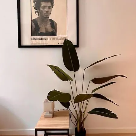 Apartament Le Romy Tuluza