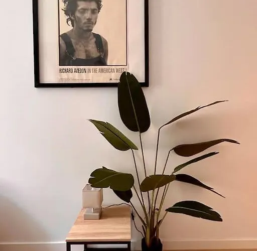 Appartement Le Romy Toulouse